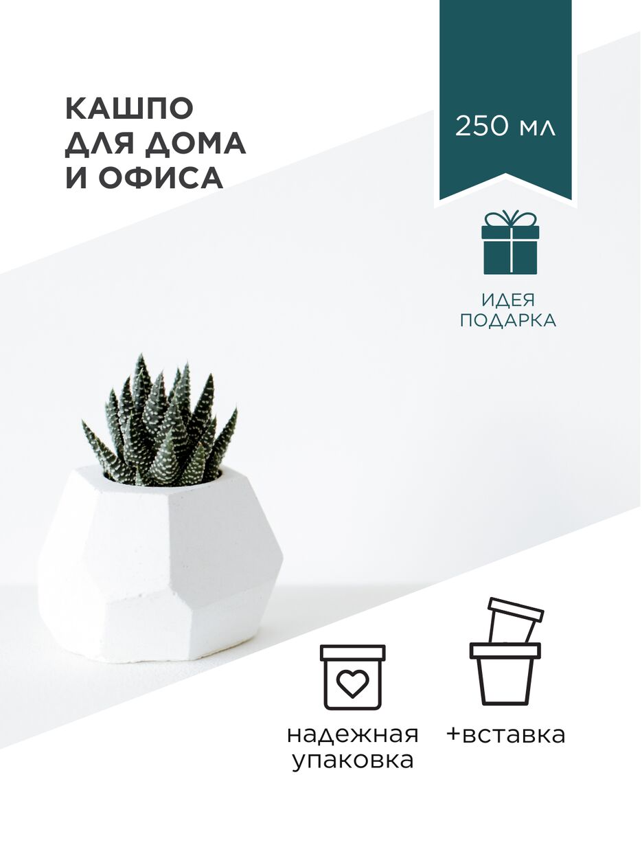 Белая Зеленая Минималистичная инфографика Кашпо для цветов  Карточка для маркетплейса.png