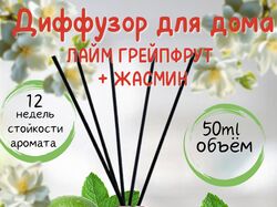 Инфографика