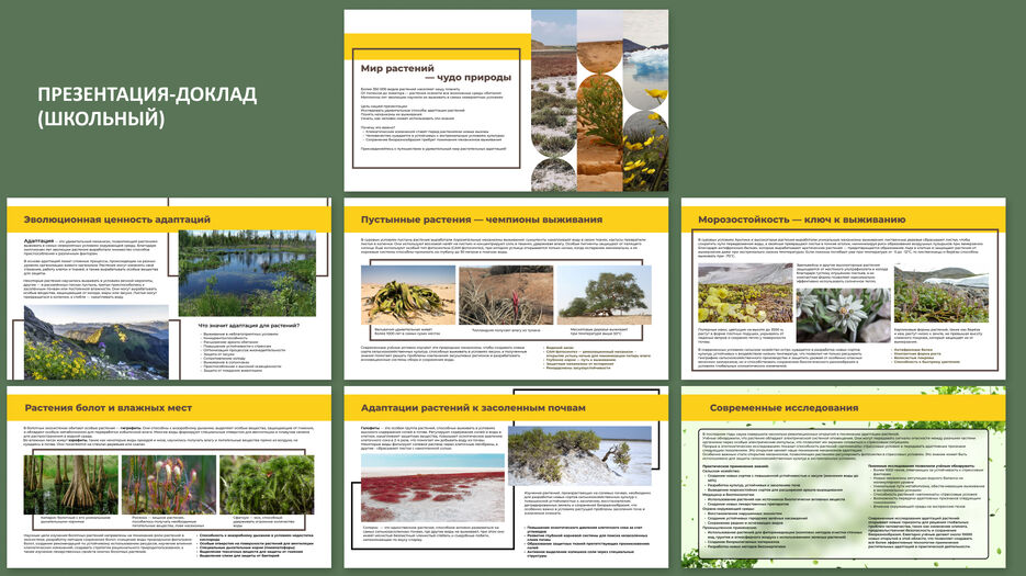 Slide 16_9 - 39.jpg