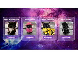 Cats&React