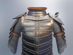Medieval Carapace
