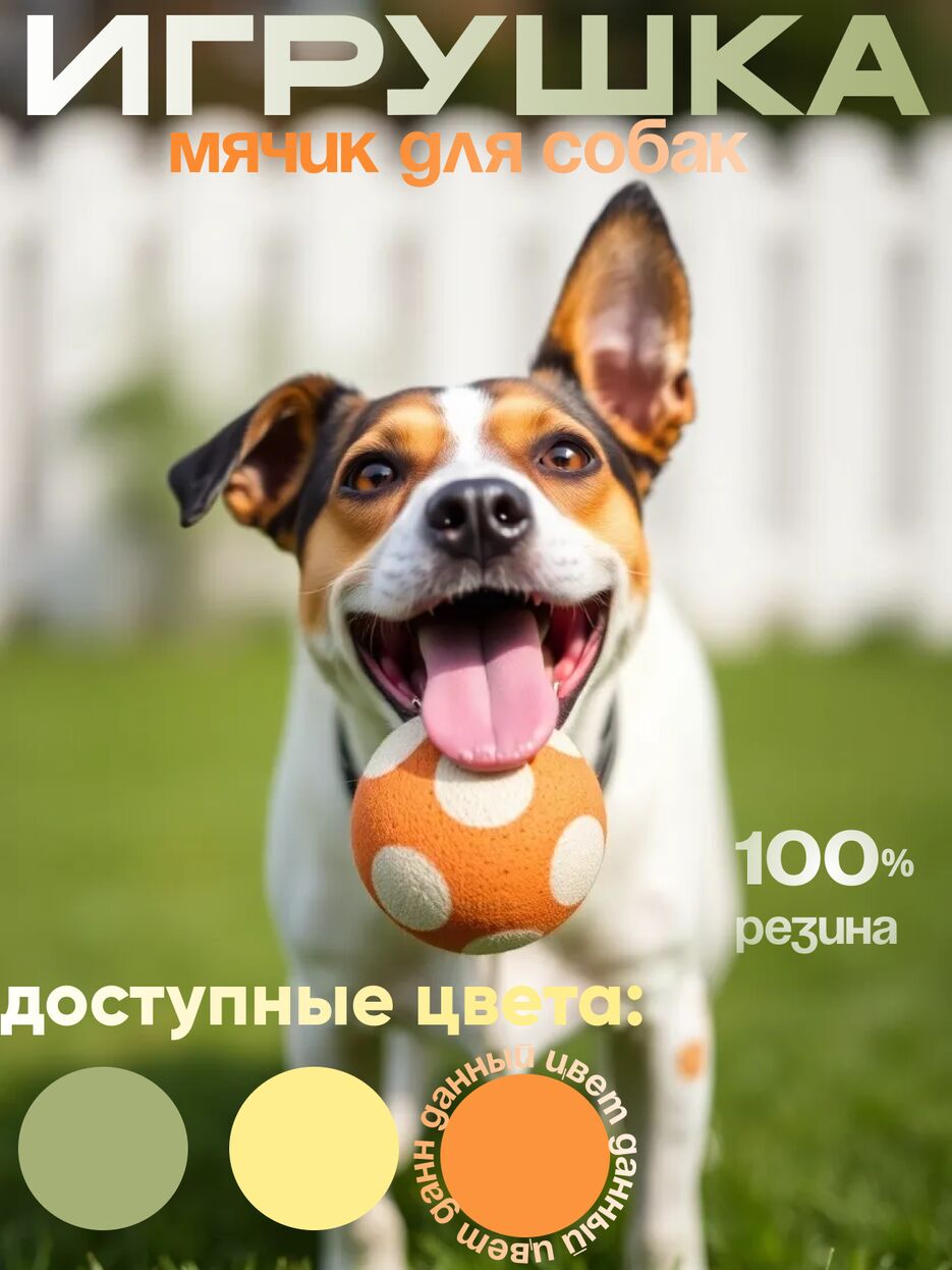 собакаигрушка.png