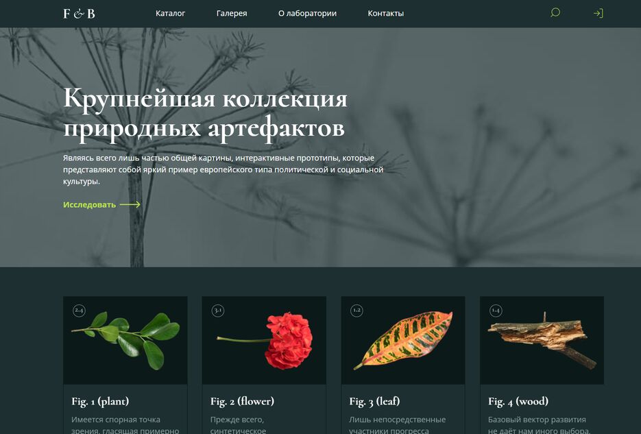 Снимок экрана 2025-07-31 141336.png