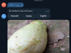 AI_farm_helper