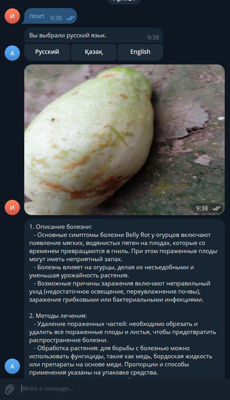 изображение_2025-07-31_200352273.png