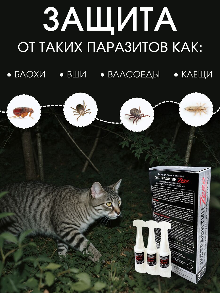 капли кош 2.png