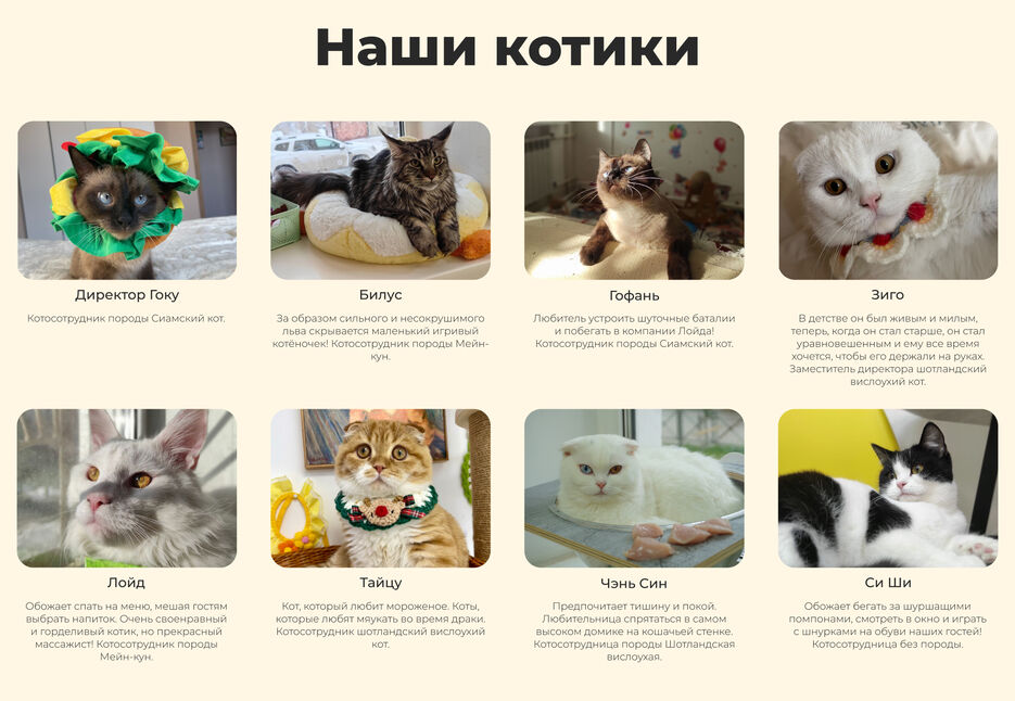 наши котики.jpg