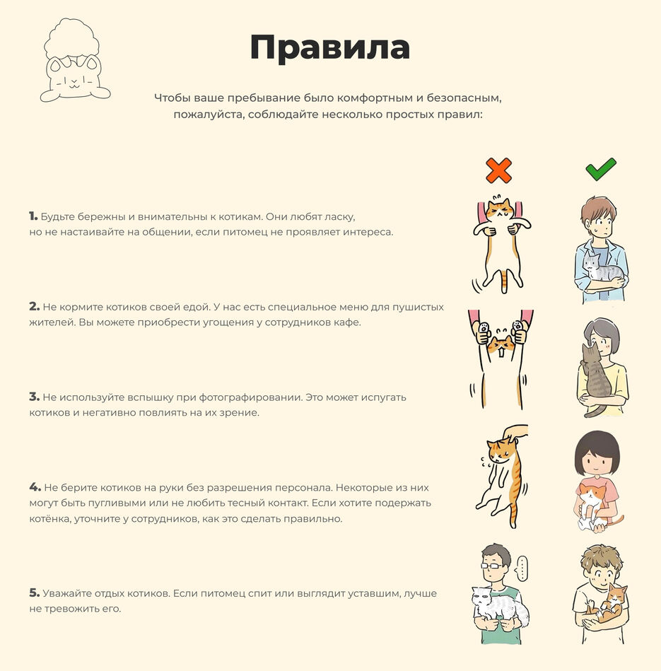 правила.jpg