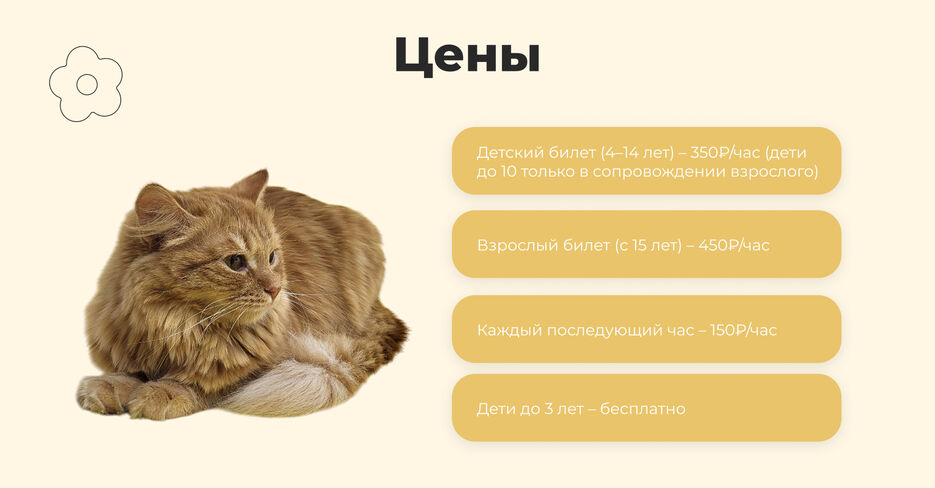 цены.jpg