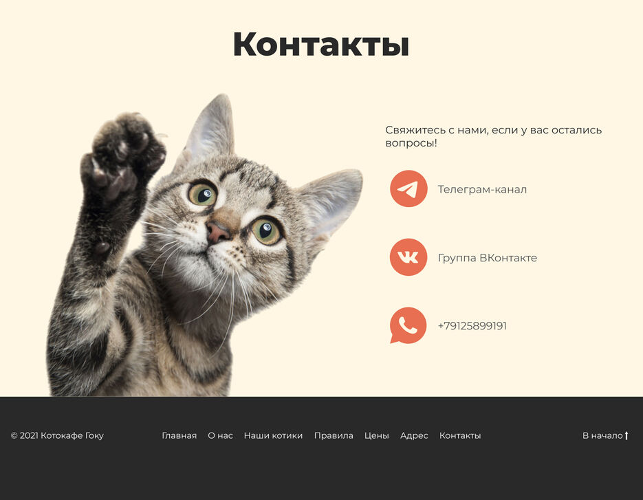 контакты и футер.jpg