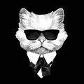 Malek_Chap
