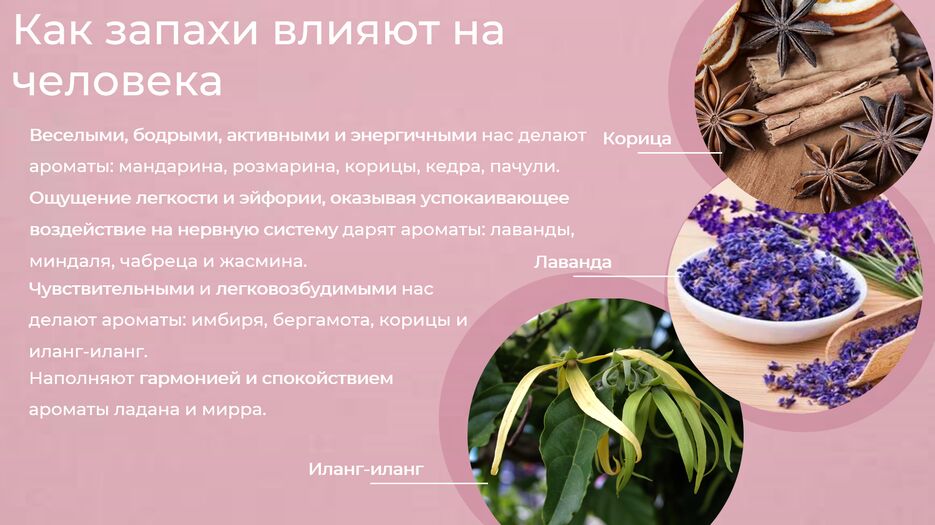 Снимок экрана (767).png