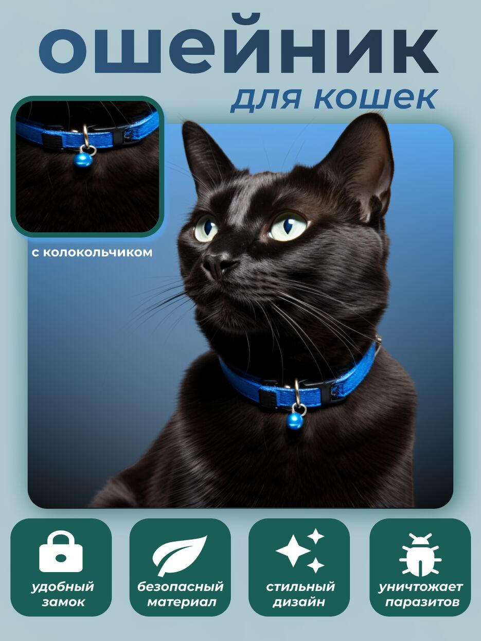 ошейник для кошки.png