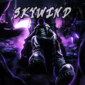 skywind1602