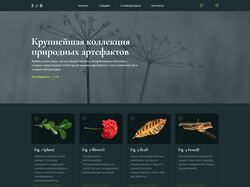 Колекція природних артефактів інтерактивний лендінг