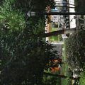 liliade