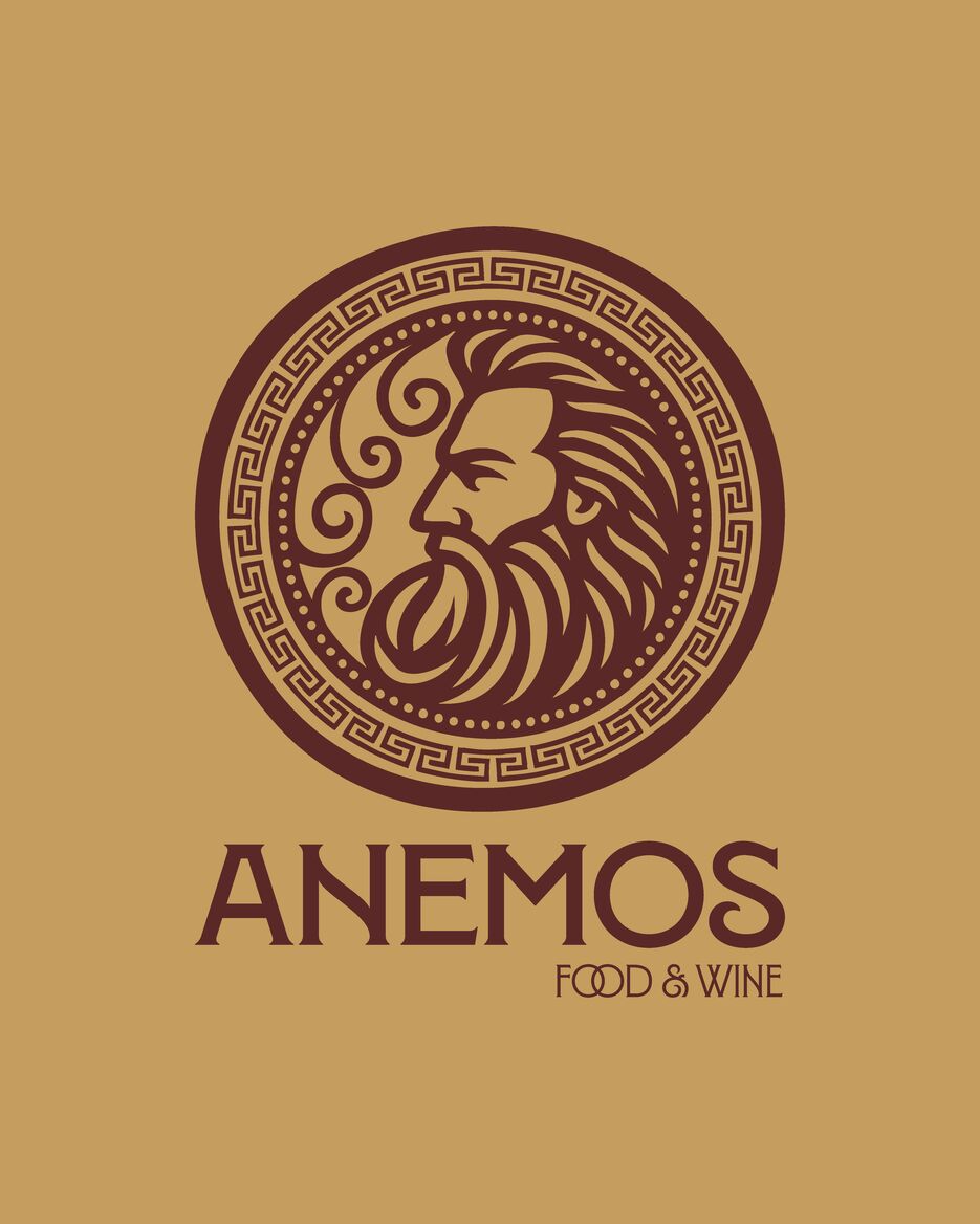 Anemos pres2_Монтажная область 1 копия 2.png