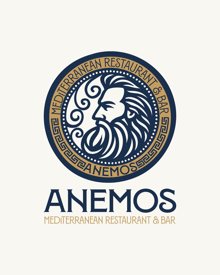 Anemos pres_Монтажная область 1 копия 2.png