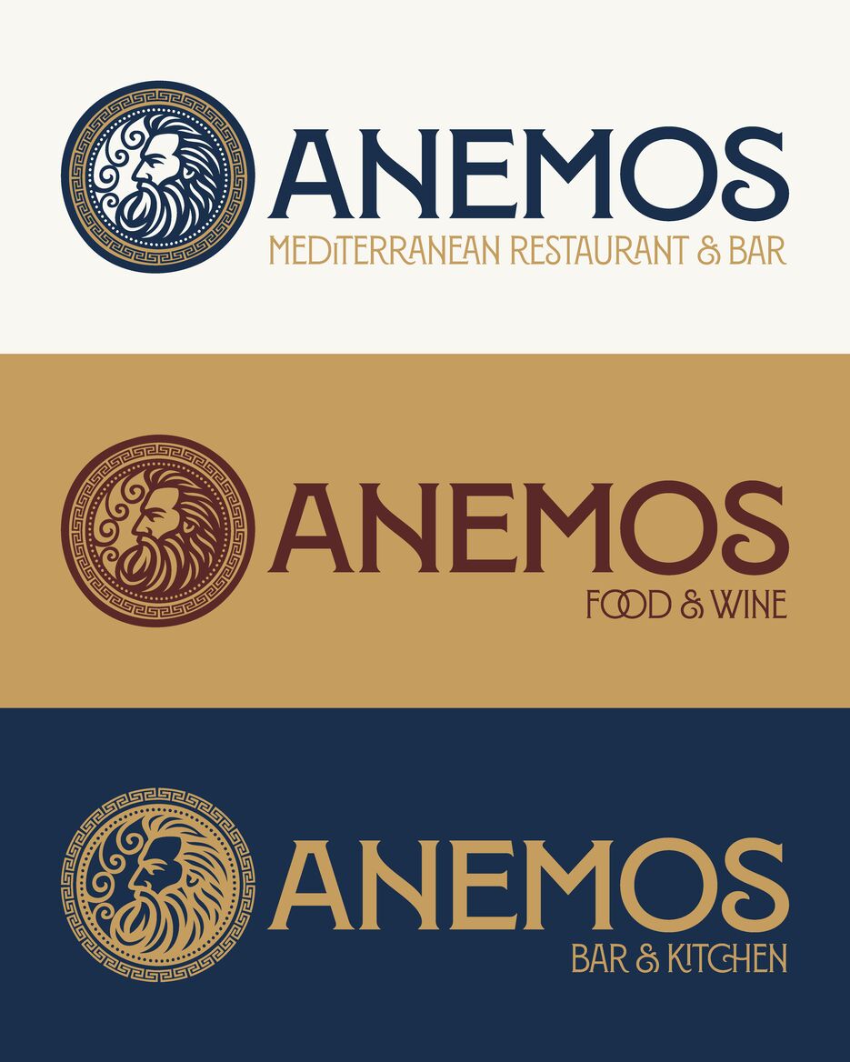Anemos pres_Монтажная область 1 копия.png