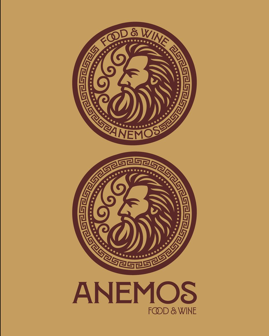 Anemos pres_Монтажная область 1 копия 8.png