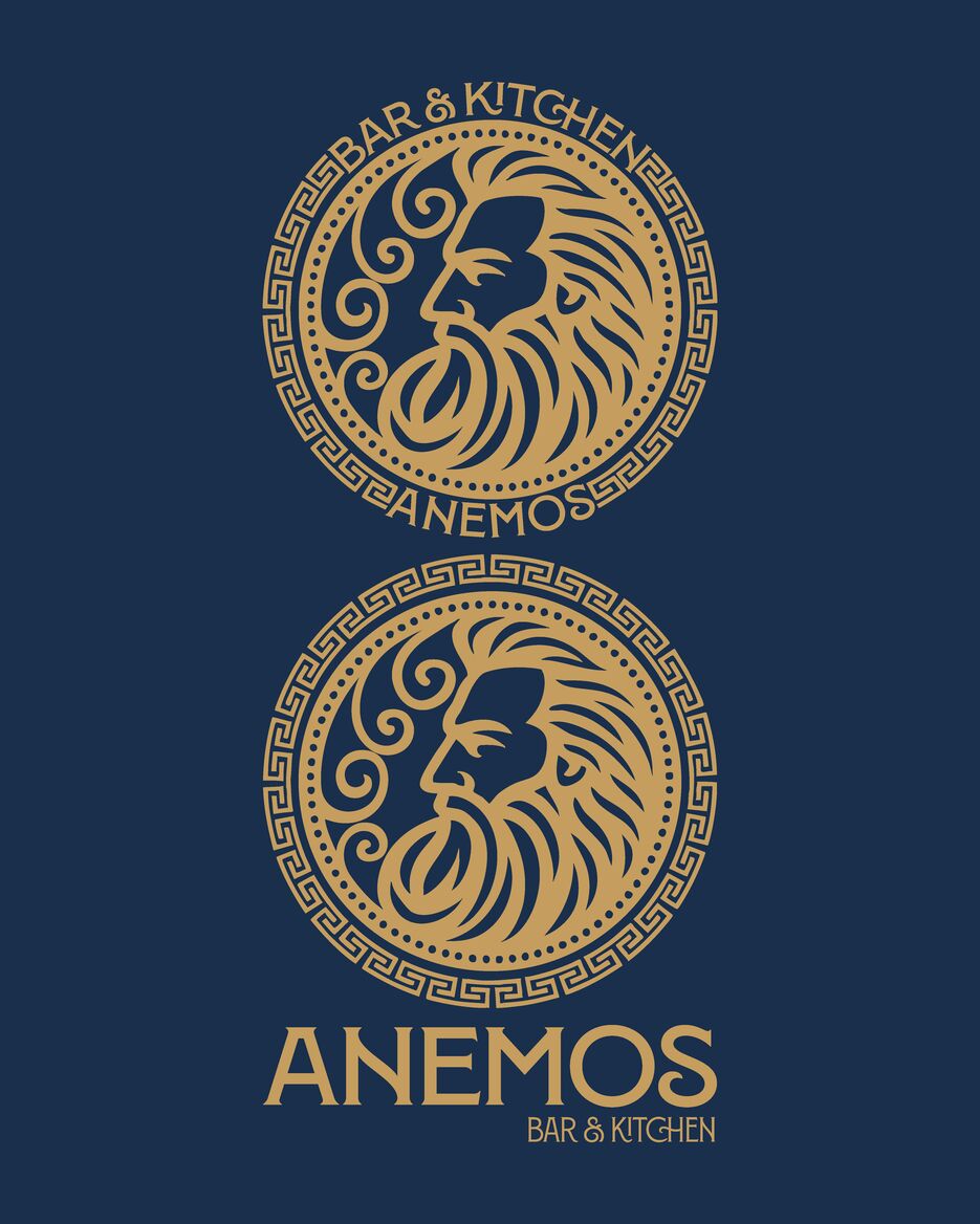 Anemos pres_Монтажная область 1 копия 7.png