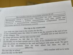 Практикующий