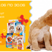 299409o7629.png