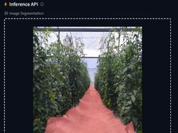 Image Segmentation for greenhouse