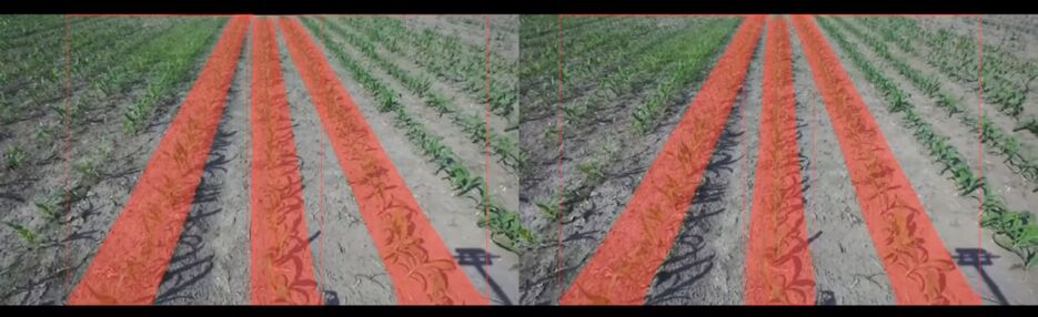 row_detect (1).png