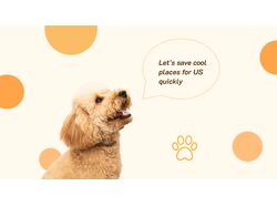 FurryMap -Pet-Friendly Travel Guide