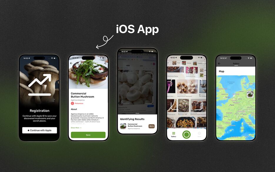 Mushrooms_iOS_small_eng.png