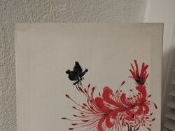 павуча лілія і метелик