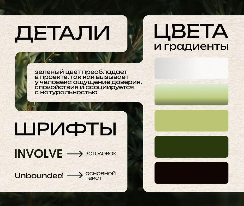 розмарин потфолио4.png