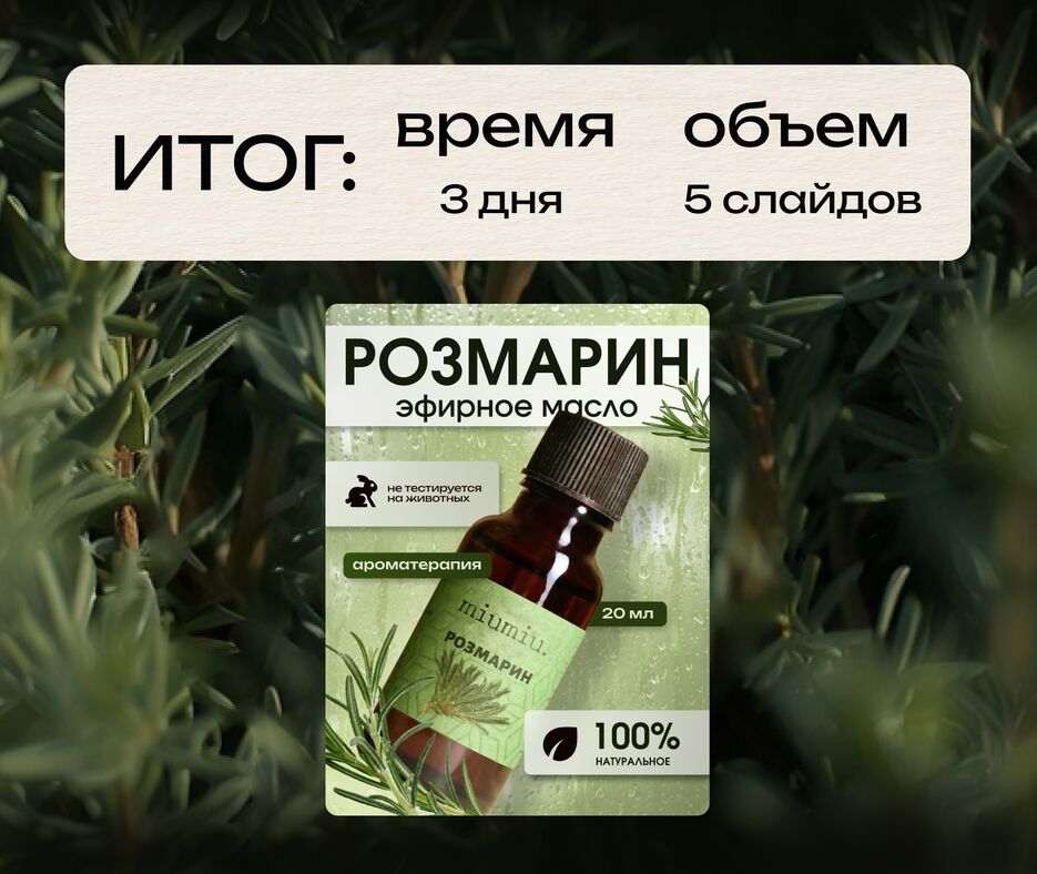 розмарин потфолио5.png