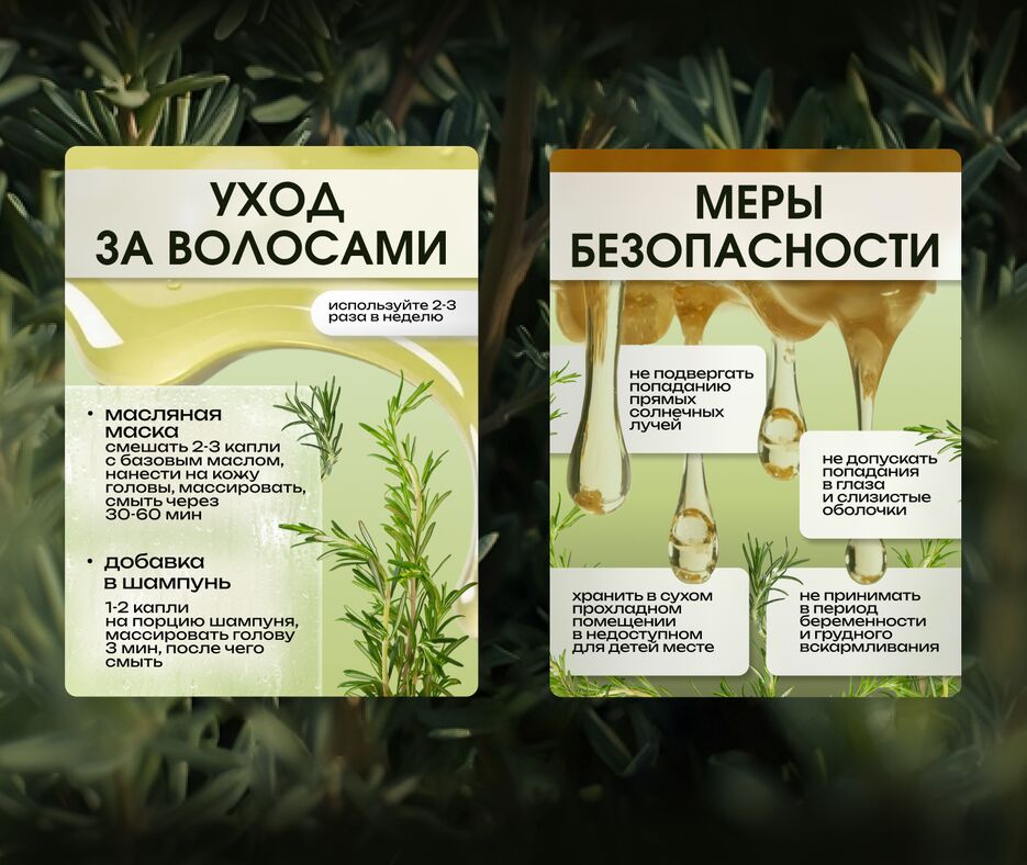 розмарин потфолио7.png