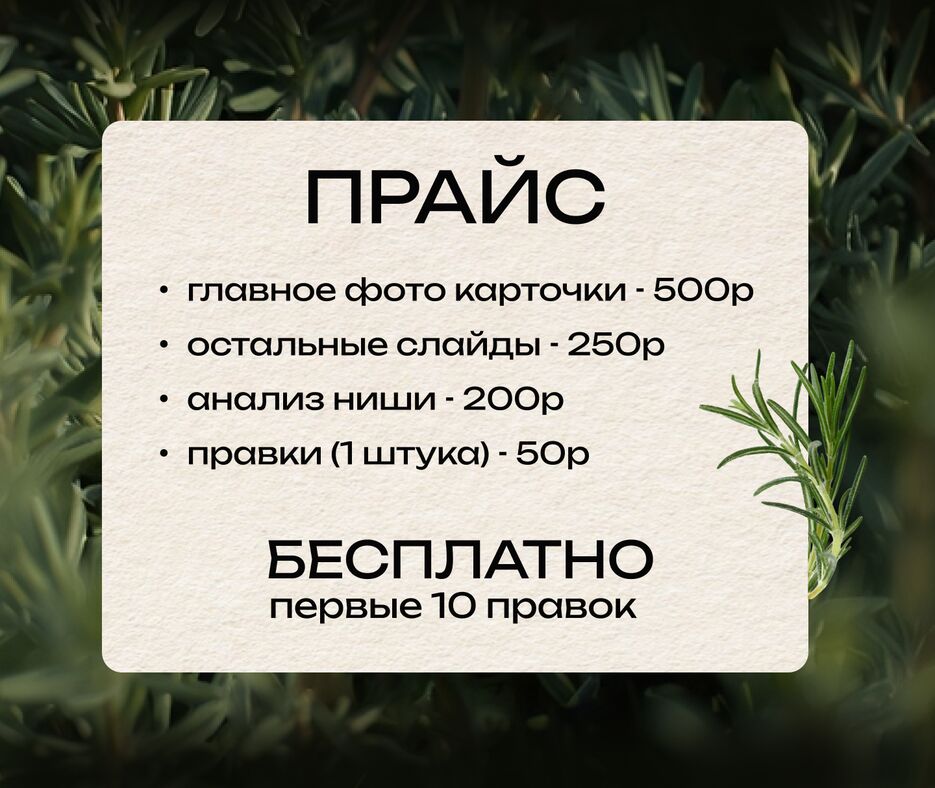 розмарин потфолио8.png