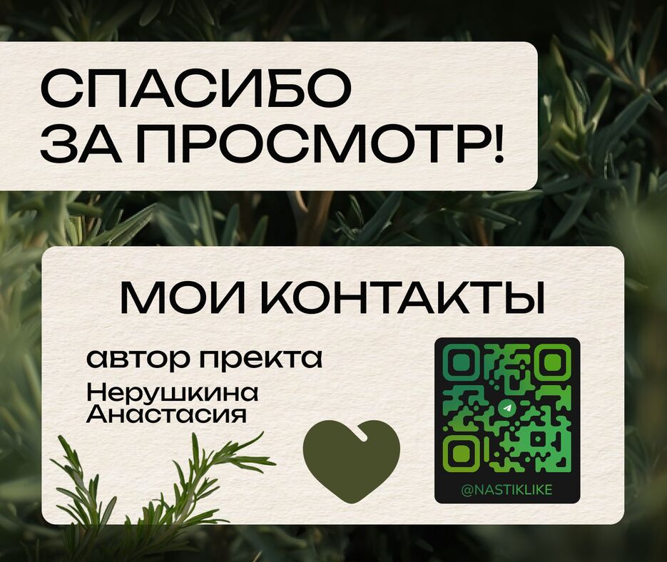розмарин потфолио9.png