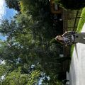 Lady26591