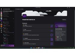Проект Discord server - PHANTOM VORTEX
