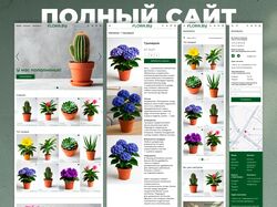 Интернет-магазин поп продаже комнатный растений