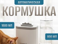 Инфографика