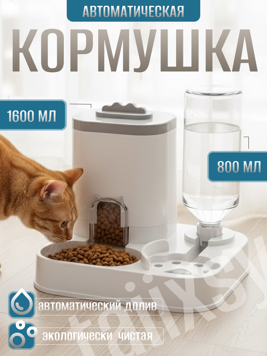 кормушка 1-ая карточка c водн.png