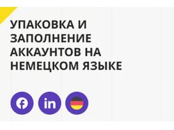 SMM в Linkedin и Facebook по Германии