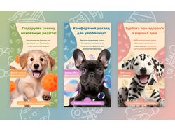 Креативи для зоомагазину