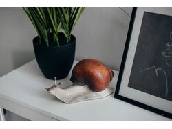 Трансляция бренда через видео