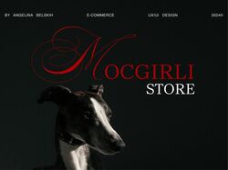 Интернет-магазин