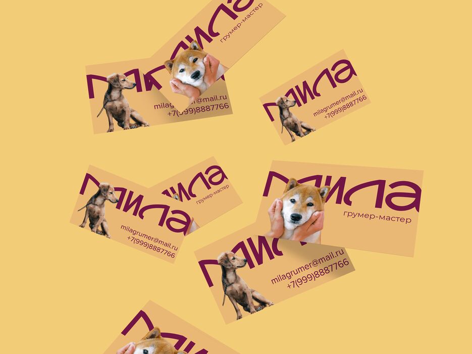 визитка груминг мастера.png