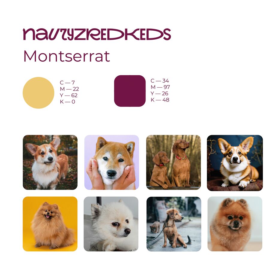 груминг 2.png