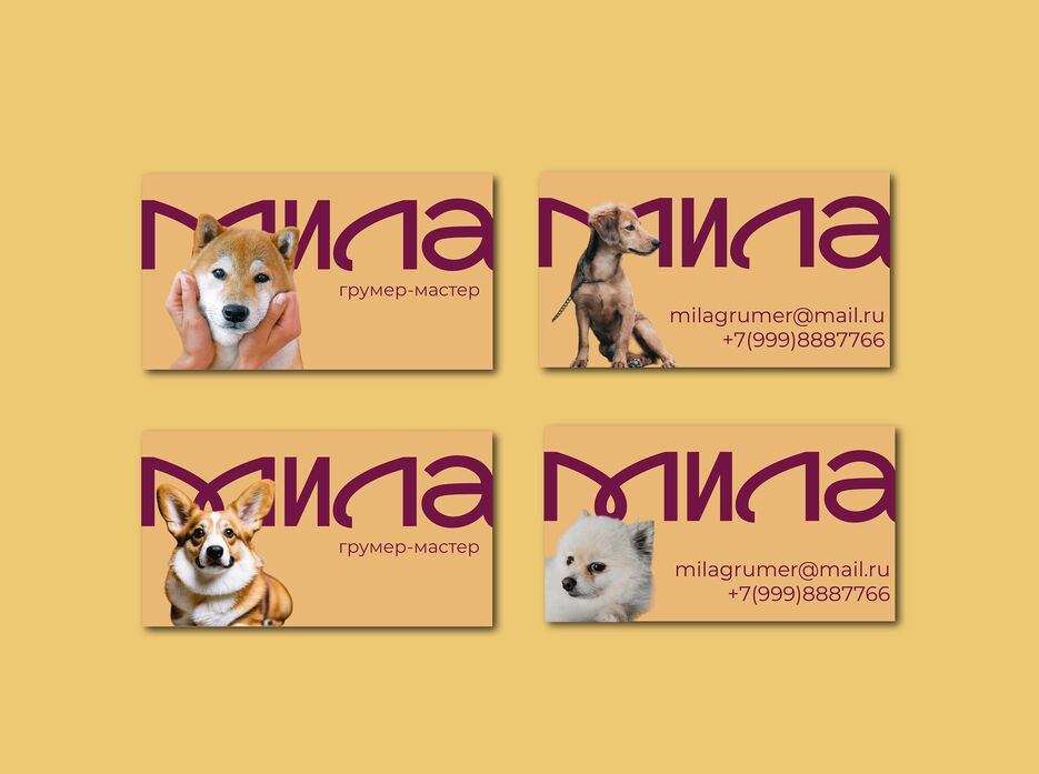 визитка груминг 3.png