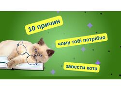 Обкладинка для відео Ютуб